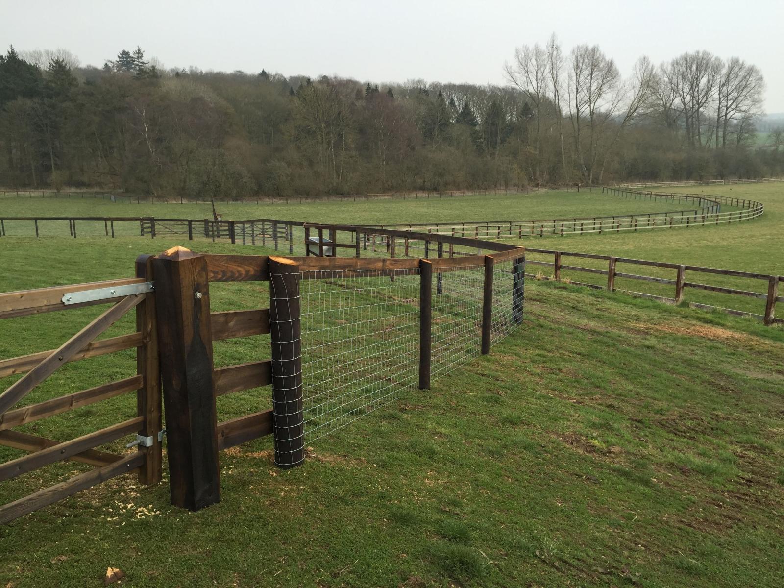 Garden Fencing